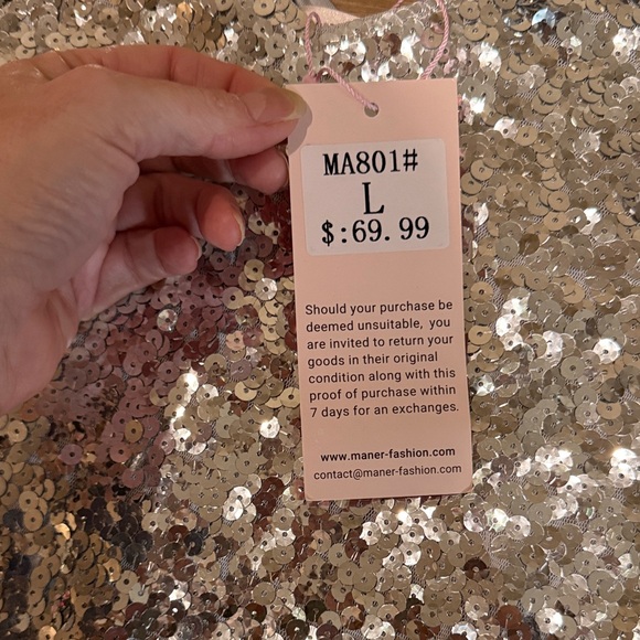 BNWT-Maner Silver Sequin Short Sleeve Dress - Picture 2 of 5